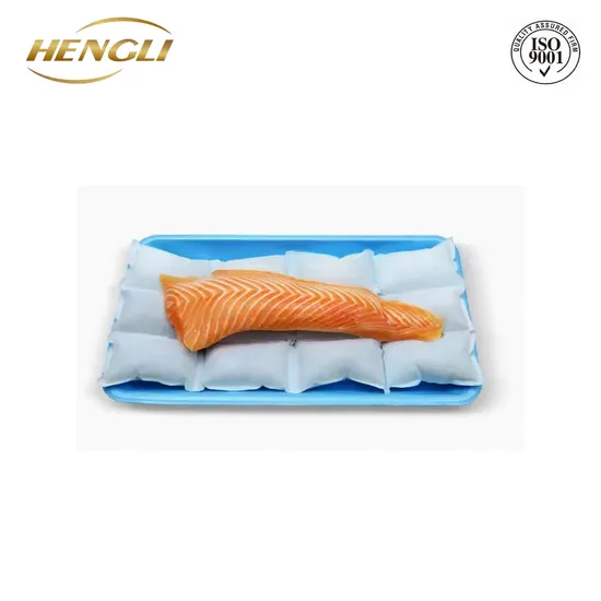 High Quality Cold Gel Cooling Bag Water Freeze Dry Ice Pack 