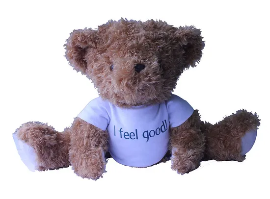 Factory Customized Multiple Color Forms Wholesale Dolls Plush Stuffed Toy Kawaii Teddy Bear 